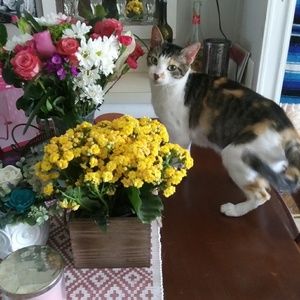 Meet your Posher, Jackie